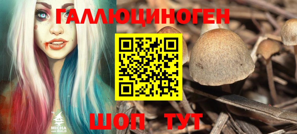 Псилоцибиновые грибы мухоморы Химки